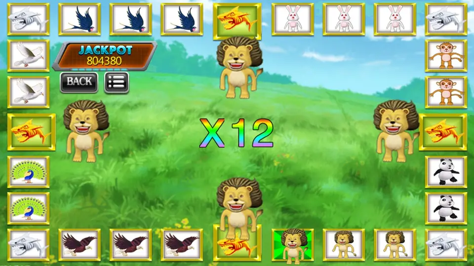 Lions on a grassy field with a rainbow X12 after the lion won the round