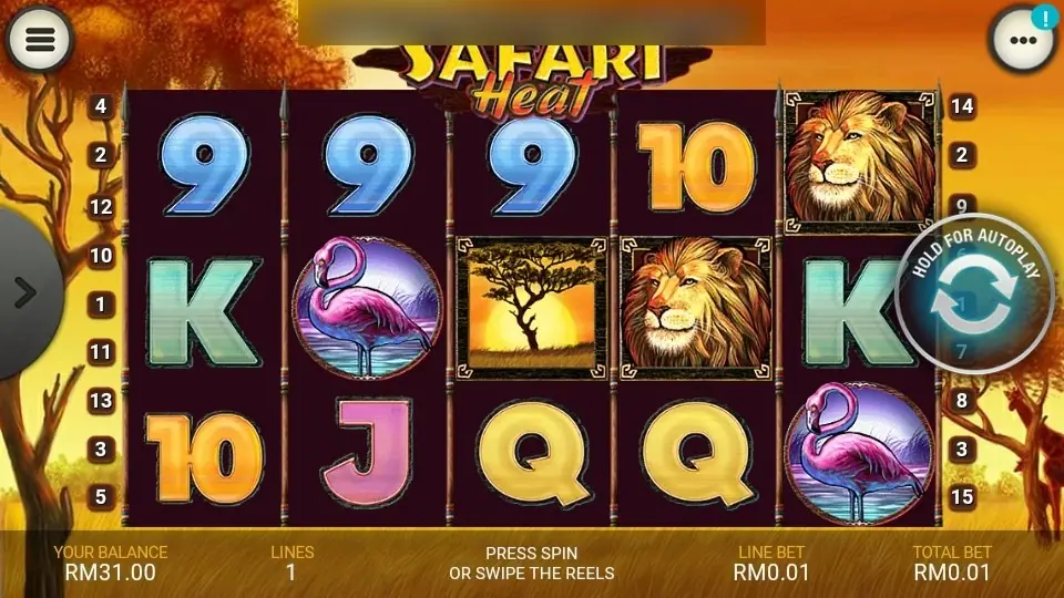 Safari Heat reels with lions on reels 4 and 5, flamingos on reels 2 and 5 and an acacia tree tile on reel 3, none of them lined up on the single active line