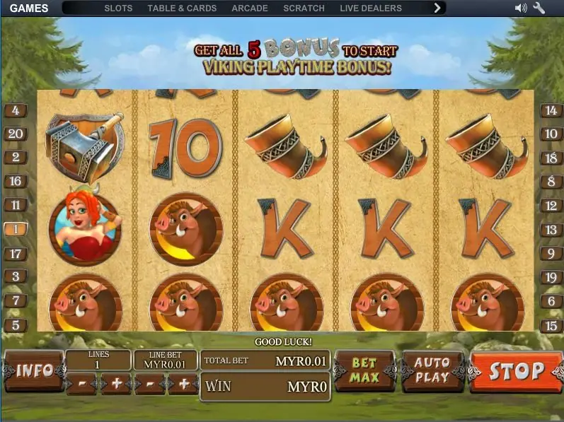 Viking Mania reels with boar shields filling the bottom row and a banner reading get all 5 BONUS to start Viking Playtime Bonus