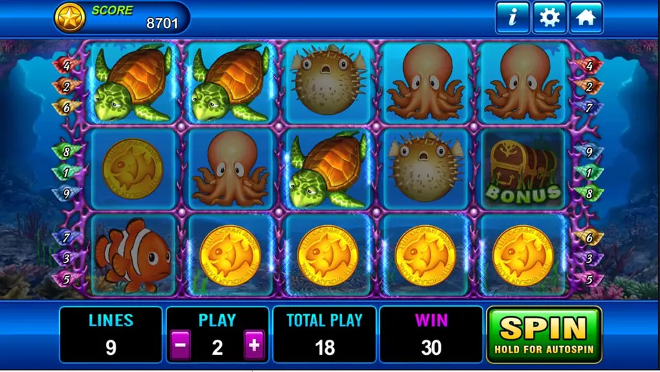 Dolphin reels with four gold coins across the bottom row for a win of 30