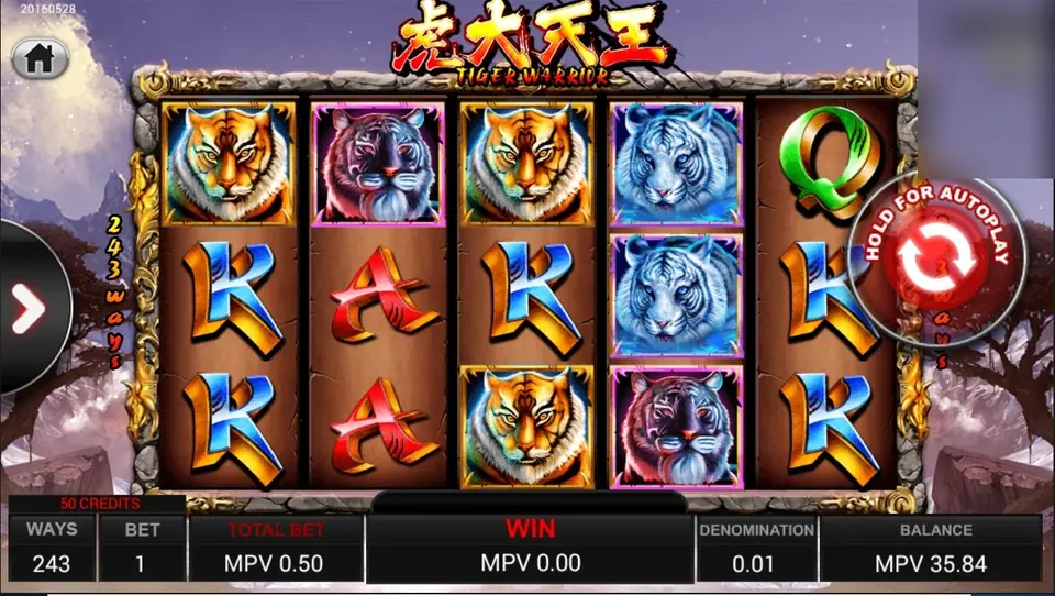 Tiger Warrior slot on SKY777 with orange, purple and blue tiger heads and red and blue card letters on wooden reels, 243 ways down the left edge